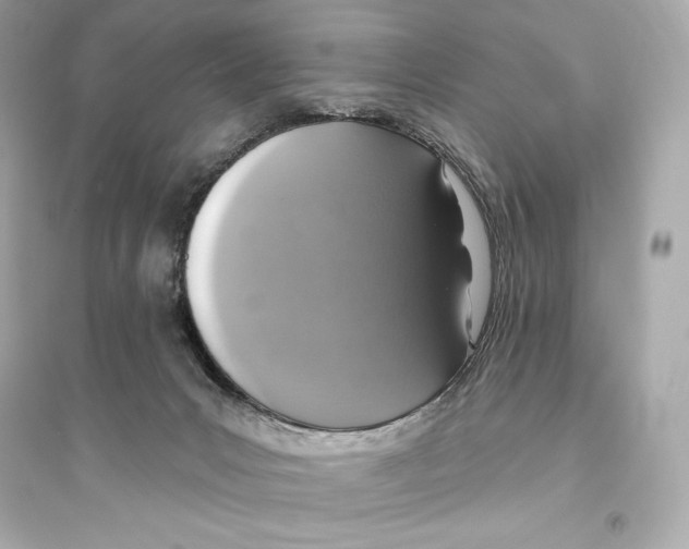 X0000093620031200711121246