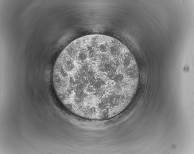 X0000093620032200711121246