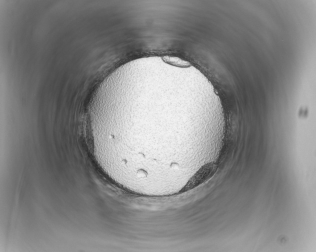 X0000093620033200711121246