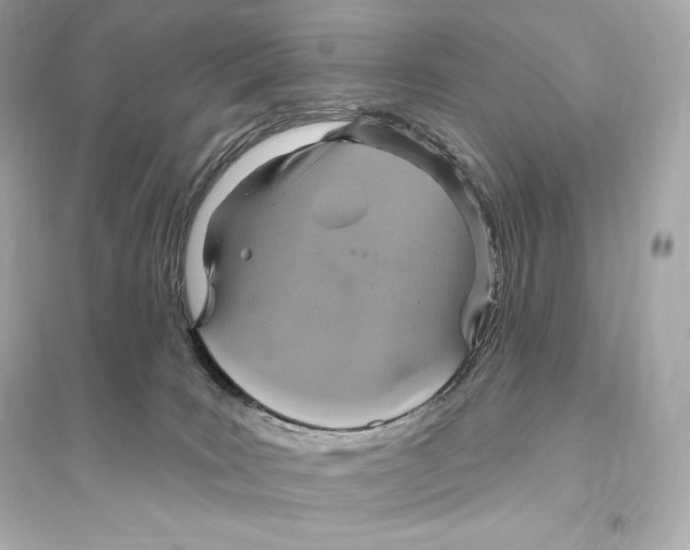 X0000093620035200711121246