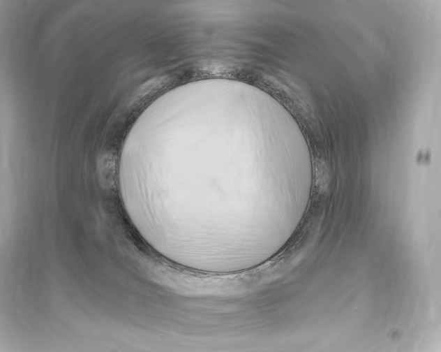 X0000093620036200711121246