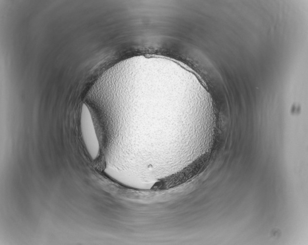 X0000093620037200711121246