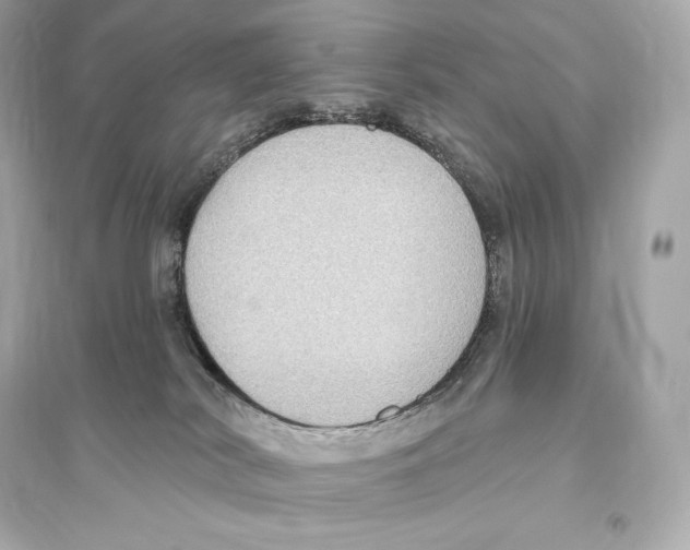 X0000093620038200711121246