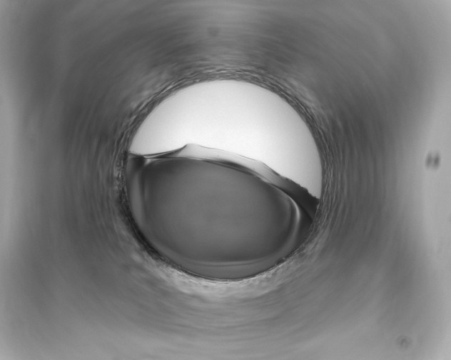 X0000093620039200711121246