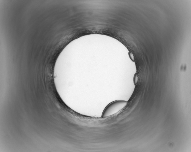 X0000093620040200711121246