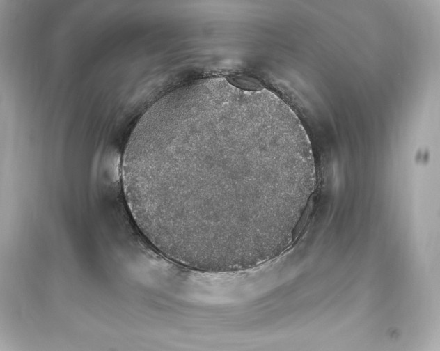 X0000093620041200711121246