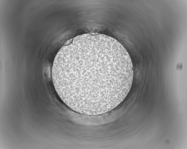 X0000093620042200711121246