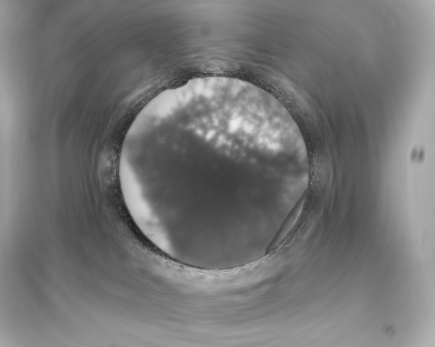 X0000093620043200711121246