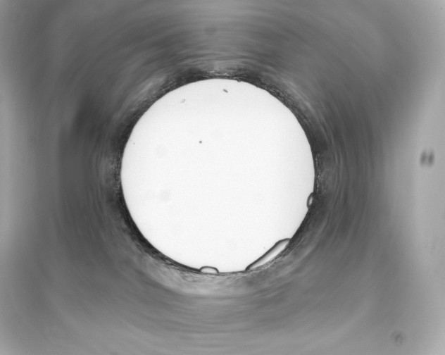 X0000093620044200711121246