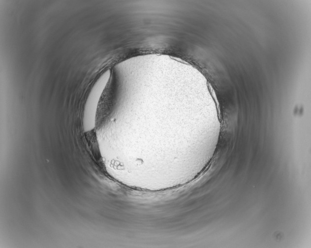 X0000093620045200711121246