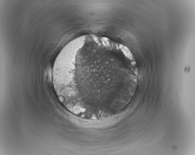 X0000093620046200711121246