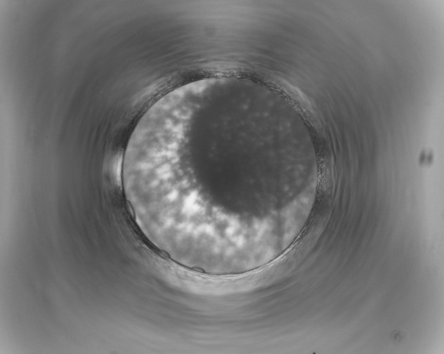 X0000093620047200711121246