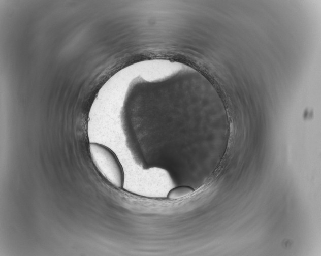 X0000093620048200711121246