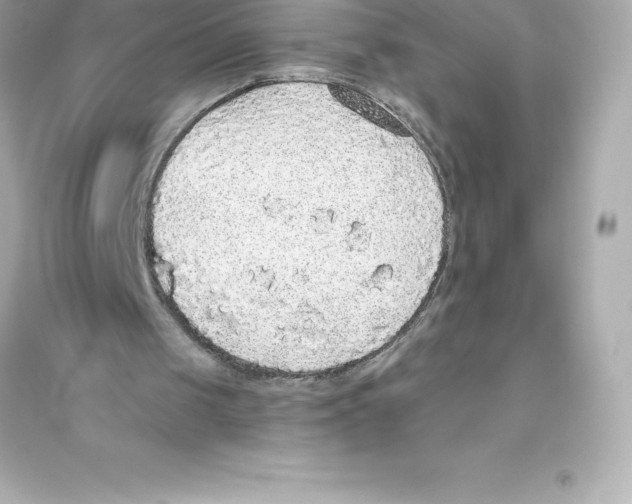 X0000093620049200711121245