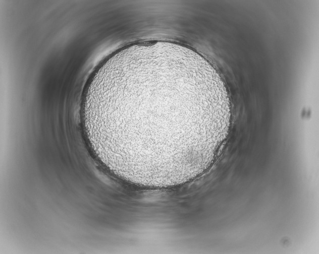 X0000093620050200711121245