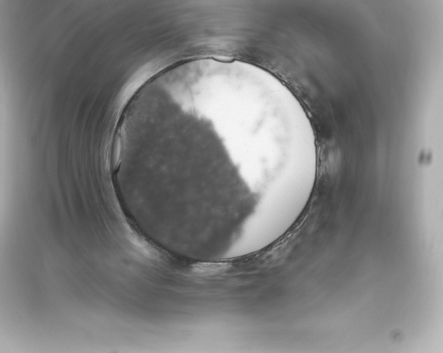 X0000093620051200711121245