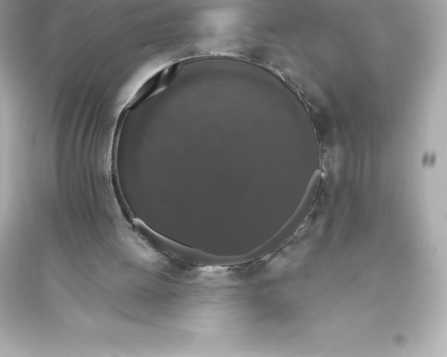 X0000093620052200711121245