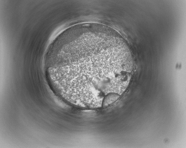 X0000093620053200711121245