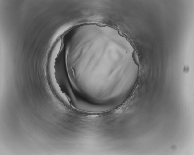 X0000093620054200711121245