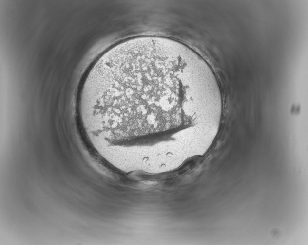 X0000093620055200711121245