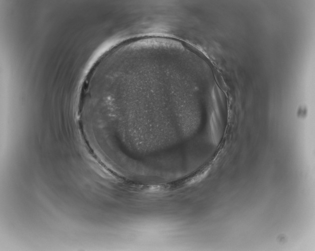 X0000093620056200711121245