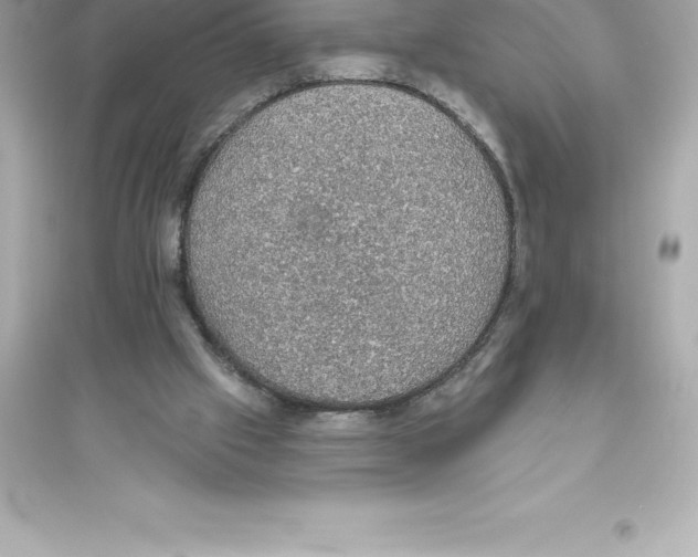 X0000093620057200711121245