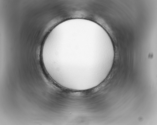 X0000093620058200711121245