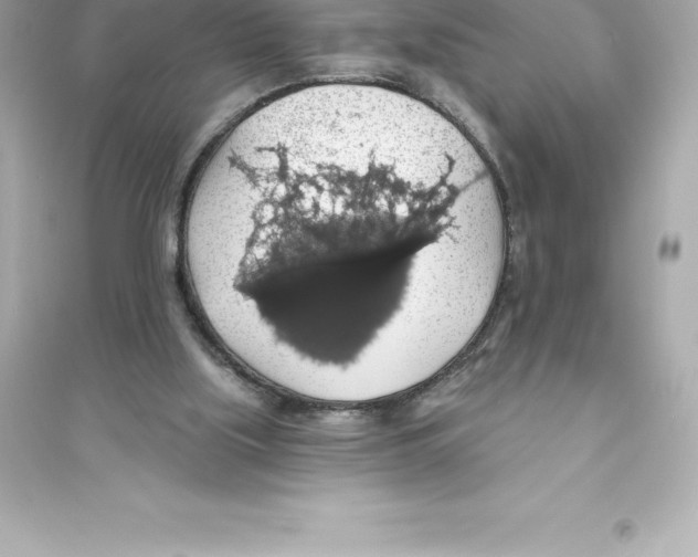 X0000093620059200711121245