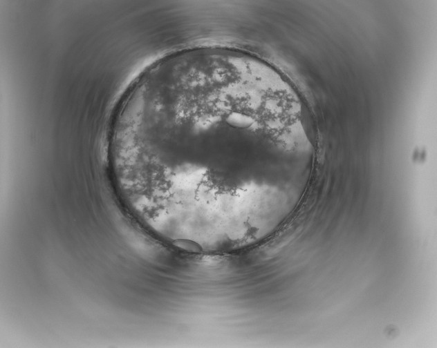 X0000093620060200711121245