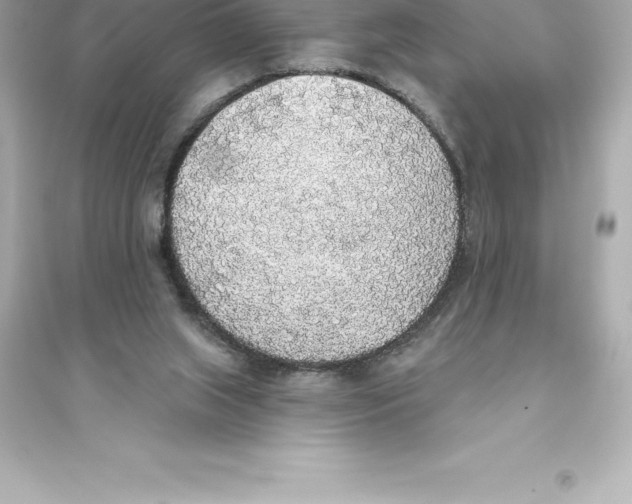 X0000093620063200711121245