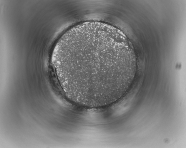 X0000093620064200711121245