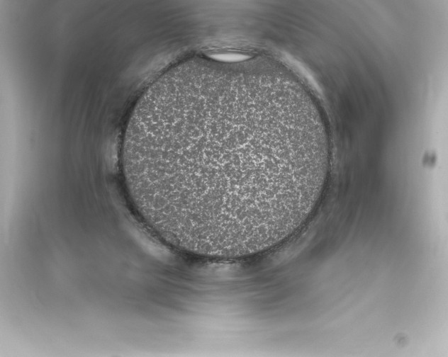 X0000093620065200711121245