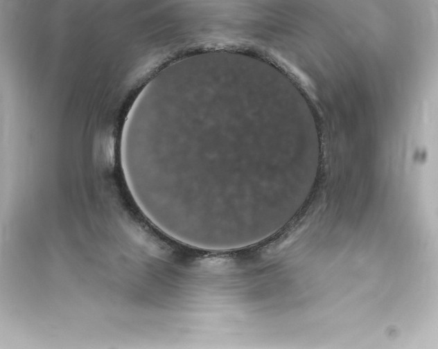 X0000093620067200711121245