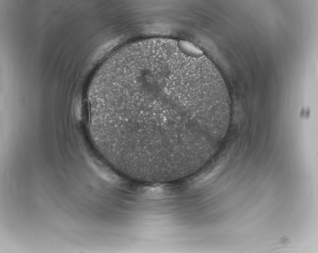 X0000093620068200711121245