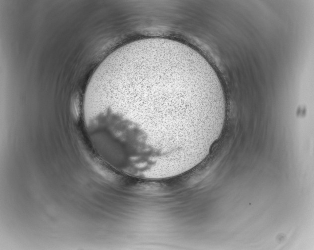 X0000093620069200711121245