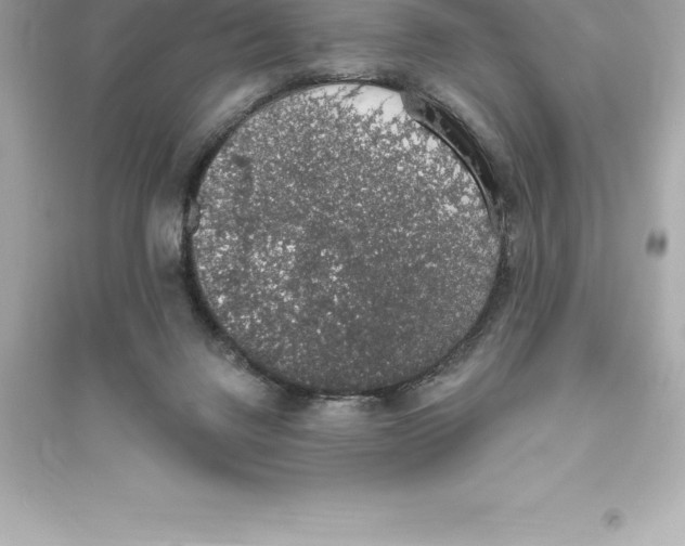 X0000093620072200711121245