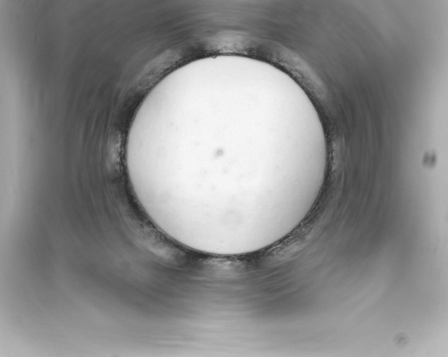 X0000093620073200711121245