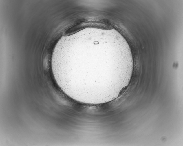 X0000093620074200711121245