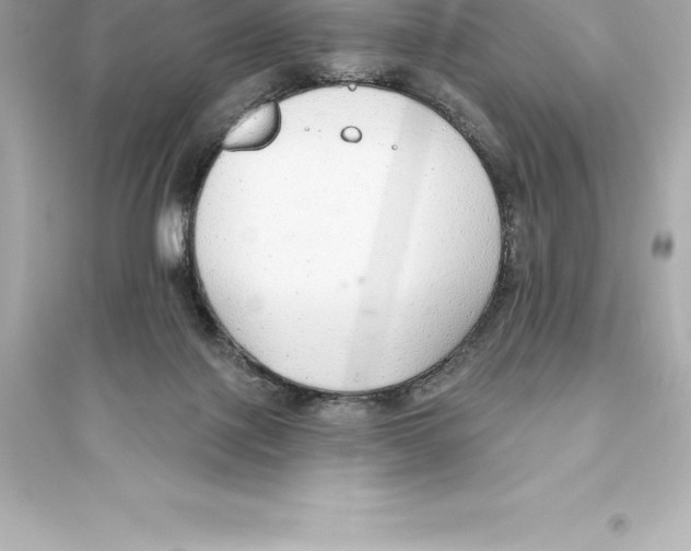 X0000093620075200711121245