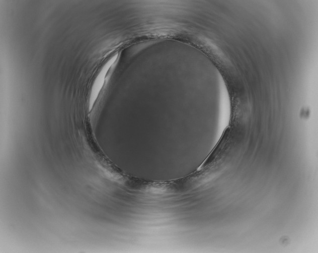 X0000093620076200711121246