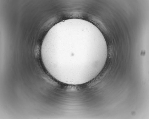 X0000093620077200711121246