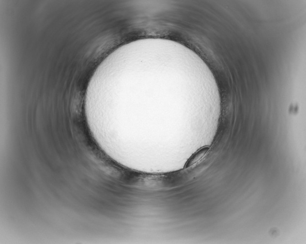 X0000093620078200711121246