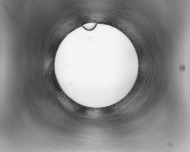 X0000093620079200711121246