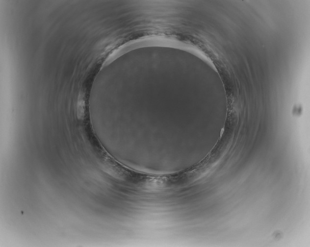 X0000093620080200711121246