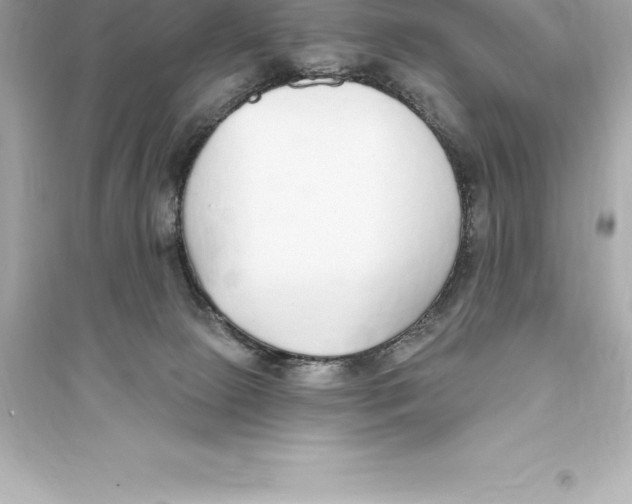 X0000093620081200711121246