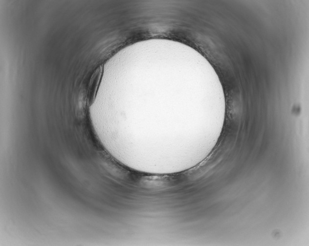 X0000093620082200711121246