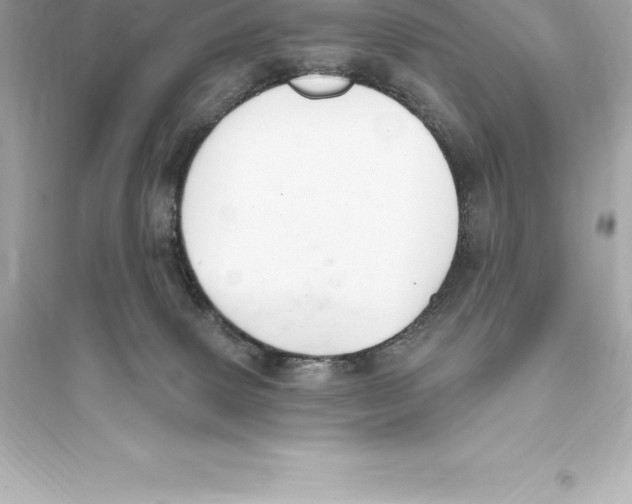 X0000093620083200711121246