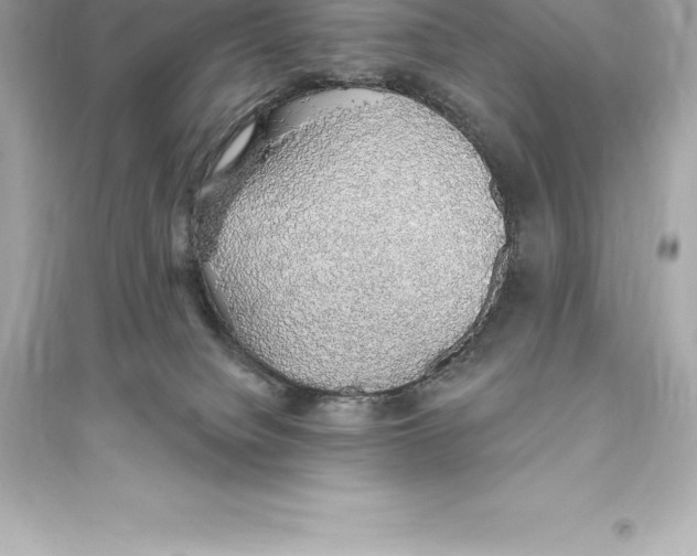 X0000093620084200711121246