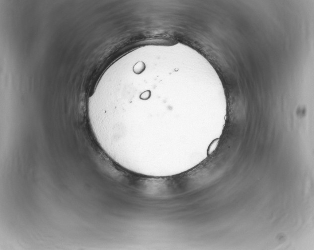 X0000093620085200711121246