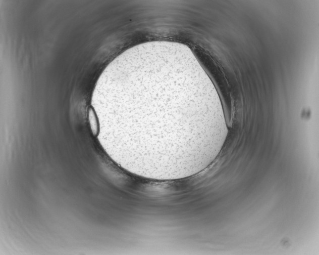 X0000093620086200711121246